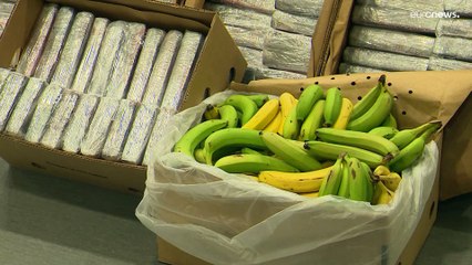 شاهد: الشرطة البرتغالية تضبط 4.2 طن من الكوكايين في صناديق للموز