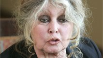 GALA VIDÉO – Brigitte Bardot victime de rumeurs sur son état de santé : elle brise le silence
