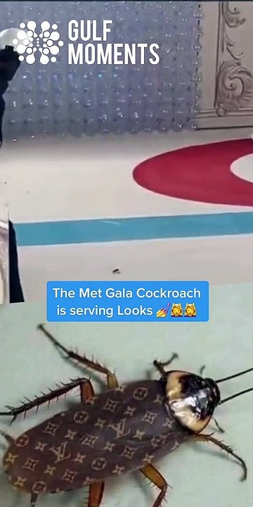 Met Gala Cockroach is Serving Looks