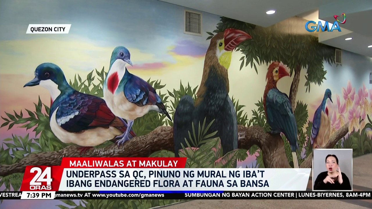 Underpass sa QC, pinuno ng mural ng iba’t ibang endangered flora at fauna sa bansa | 24 Oras