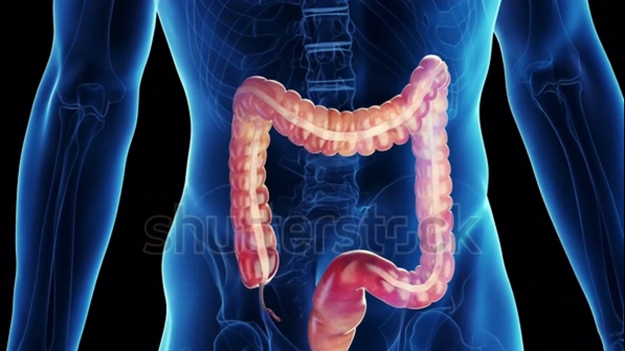 আতঙ্কিত না হয়ে পেটে ব্যথার কারণ জানুন-পেটের ডানপাশে ব্যথা হওয়ার কারণ।