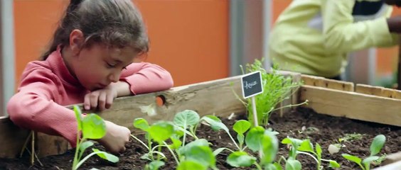 SOS  Save Our School - La Cour des miracles - Trailer