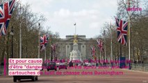 Couronnement de Charles III : panique à Buckingham ! Un homme 