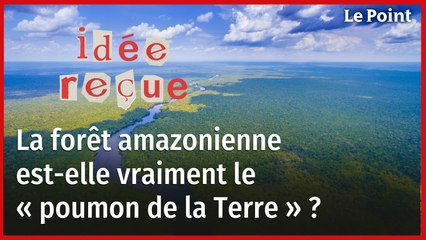 La forêt amazonienne est-elle vraiment le « poumon de la Terre » ?
