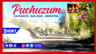 Puchuzum  Calingasta, San Juan, Argentina. #short