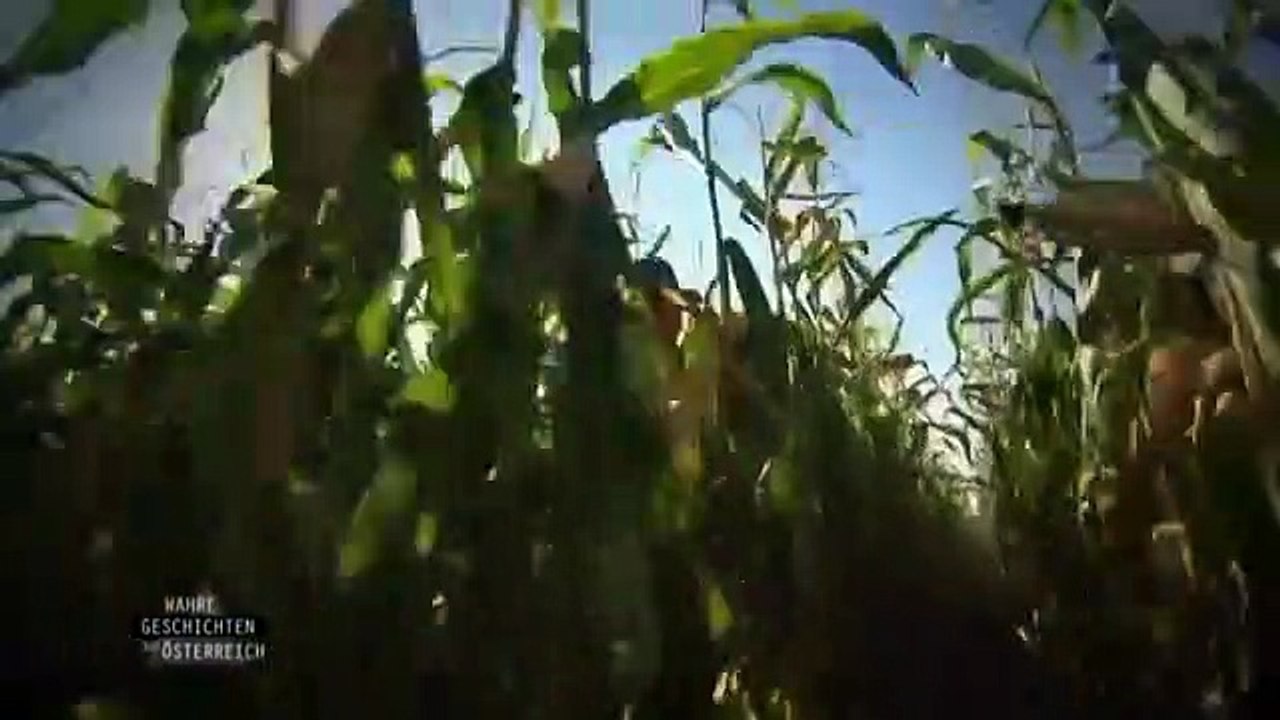 Wahre Geschichten aus Österreich - Folge 1 - Von Sternentoren, Hellsichtigke