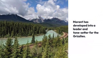 5 Understanding TNT: 5 Key Statements