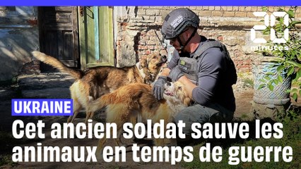 Ukraine : cet ancien soldat sauve les animaux en temps de guerre