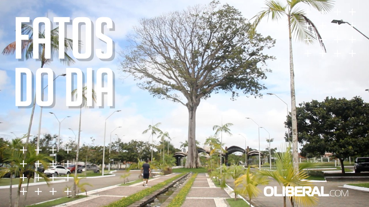 Parque Estadual do Utinga completa 30 anos como opção de lazer em meio ao bioma amazônico
