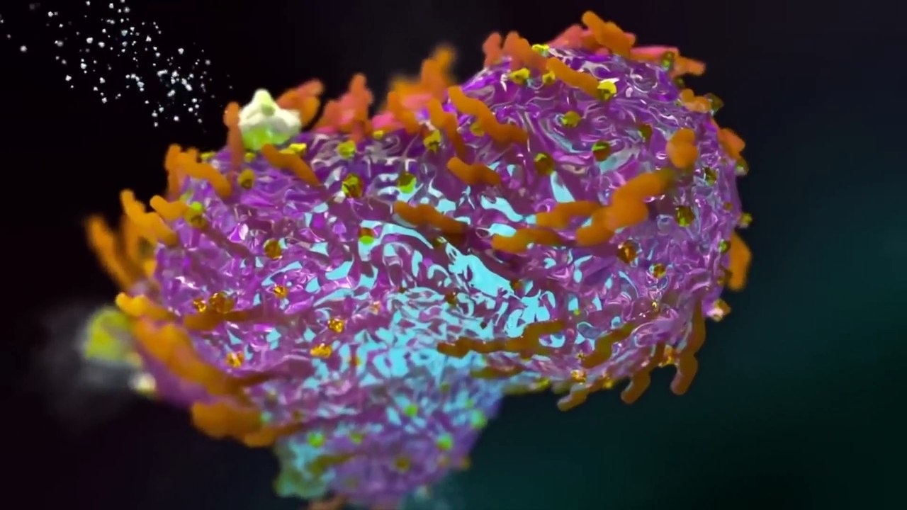 DRINK 1_2 CUP DAILY to Lower Cortisol, Lose Belly Fat, and Help Depression-(1080p)