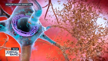 Especial Segredos da Memória: foco ajuda a lembrar 03/05/2023 12:34:26