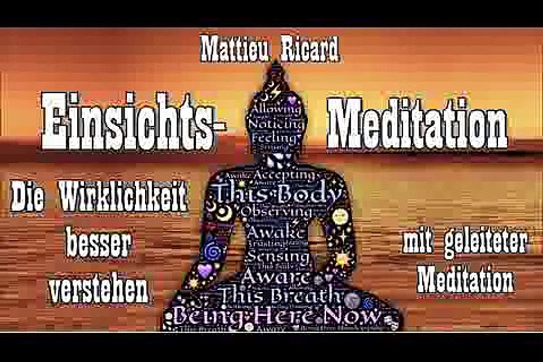 Einsichtsmeditation - die wirklichkeit besser verstehen - matthieu ricard