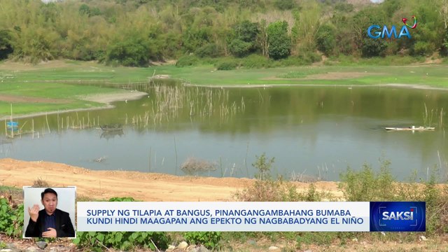 Supply ng tilapia at bangus, pinangangambahang bumaba kundi hindi maagapan ang epekto ng nagbabadyang El Niño | Saksi