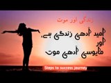 Amazing Quotes Collection In Urdu | Motivational Quotes | Steps towards Success