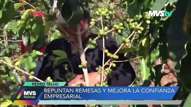 REPUNTAN REMESAS Y MEJORA LA CONFIANZA EMPRESARIAL