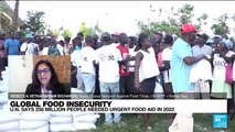 Global food insecurity