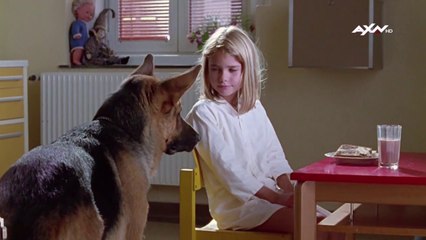 Υπαστυνόμος Ρεξ [S02E01] - Κραυγή Αγωνίας