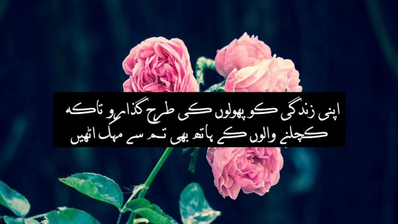 Iqwale zareen.
