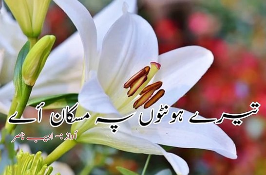 چل أ اک ایسی نظم لکھوں chal a aik aisi nazam likhun