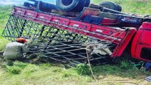 Caminhonete carregada com 10 cabeças de gado cai em ribanceira na zona rural de São José de Piranhas