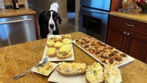 Great Dane loves to sample delicious comfort food! Watch Great Dane enjoy the best comfort food!