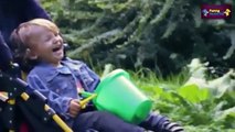 Funny Videos 2015   Best Babies Laughing Video Compilation 2015   720p