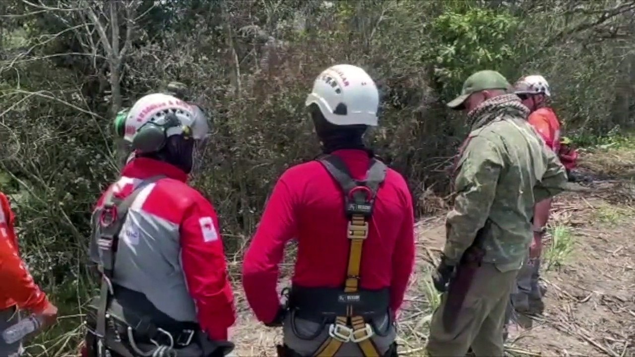 INVESTIGACION PANI