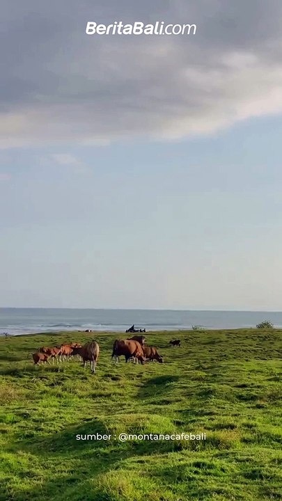 Selamat Pagi Semeton, Ditemani dengan Pemandangan Indah 