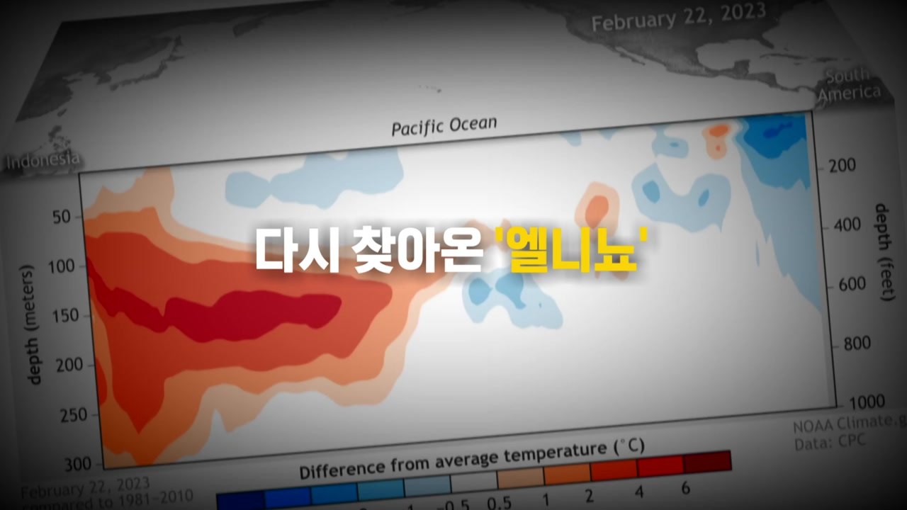 [뉴스라이더] 다시 찾아온 엘니뇨...올여름 기상이변 벌써 '빨간불'? / YTN