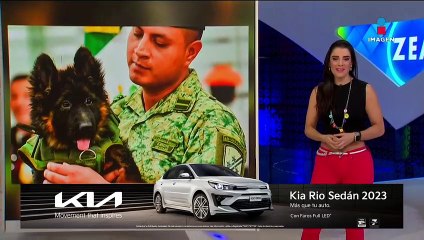 Cachorro de pastor alemán se une a la Sedena