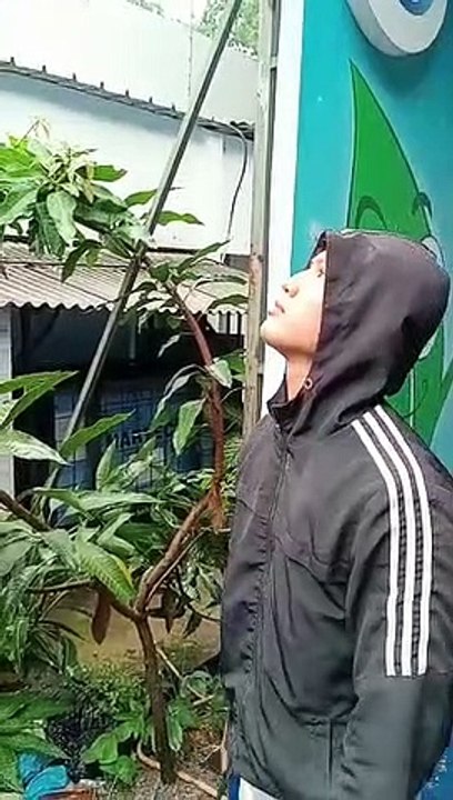 Jual motor