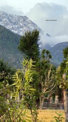 Rakkar Dharamshala | Dharamshala Guide