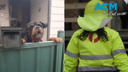 Protecting posties and pooches: Australia Post urging dog owners to be more vigilant