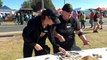 Narooma oyster festival shaping up to be biggest yet as thousands flock to event