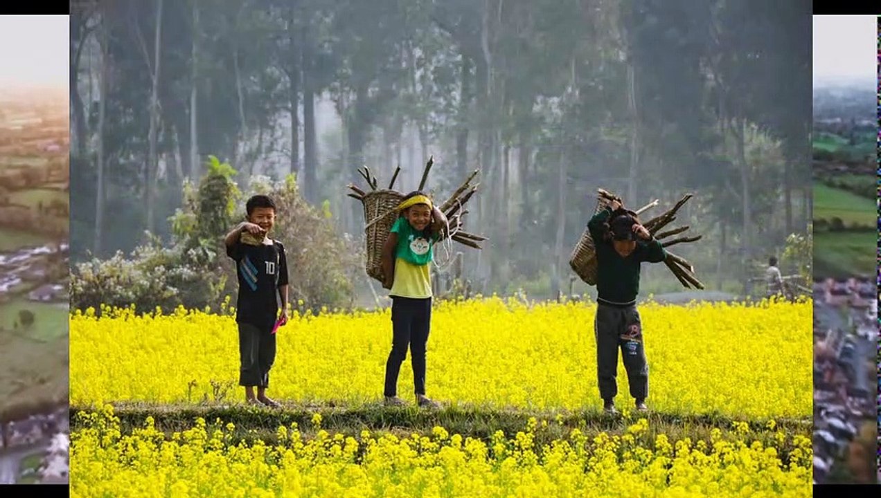 why village people are more healthy than city people | motivational and informational video in urdu/hindi