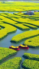 Amazing nature view 