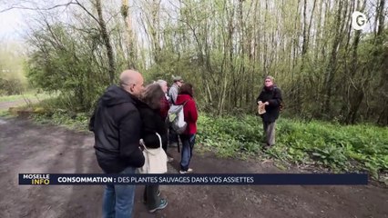 JT DES TERRITOIRES - 06/05/23 - SÉCHERESSE - NATURE - FRANZ-OLIVIER GIESBERT - CONCOURS - SORTIE