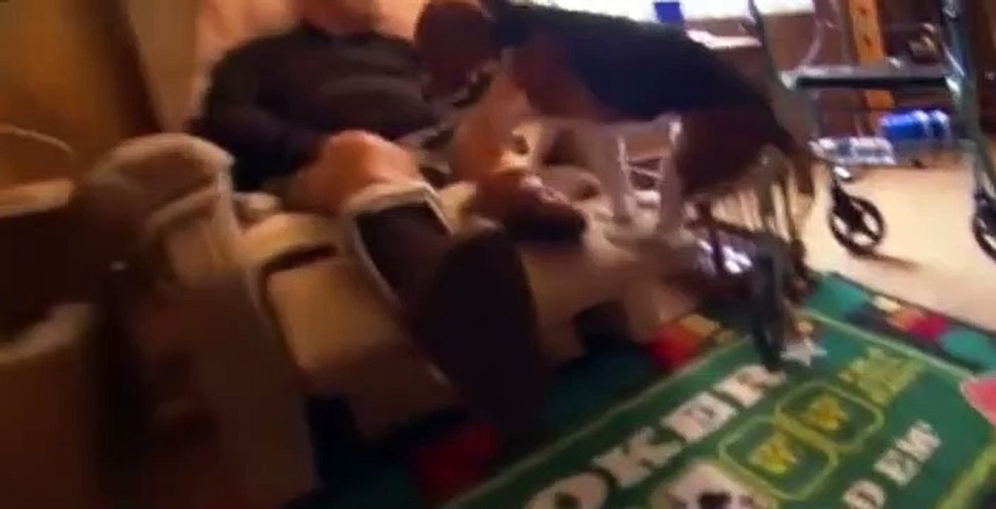 Dog Whisperer S02 E17