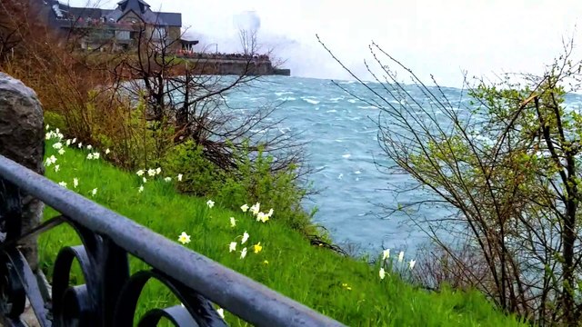Canada Toronto | Cherry Blossoms | Beautiful Niagara Falls | Spring in Canada
