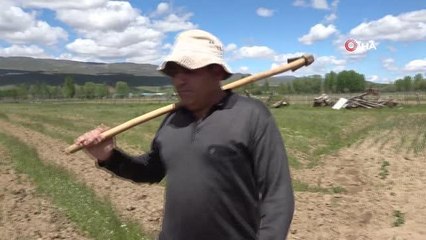 30 yıllık 'Kuşkonmaz' hayalini gerçekleştirdi