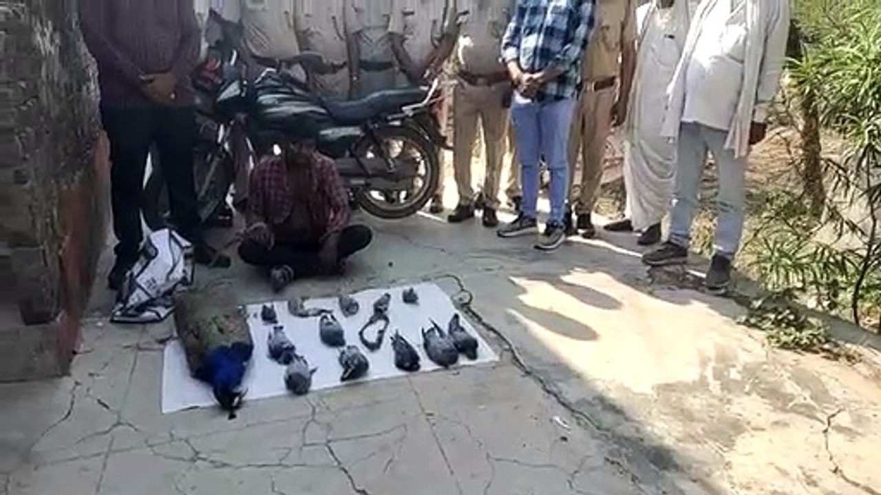 शिकार के आरोपी को न्यायिक अभिरक्षा में भेजा