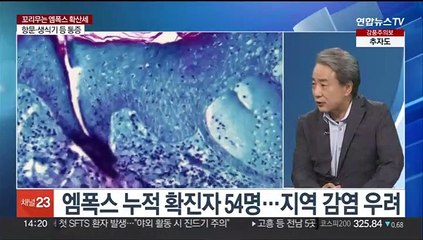 [이슈+] 코로나19 재확산세…엠폭스 지역감염 본격화