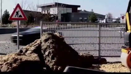 Movie And Webseries Updates