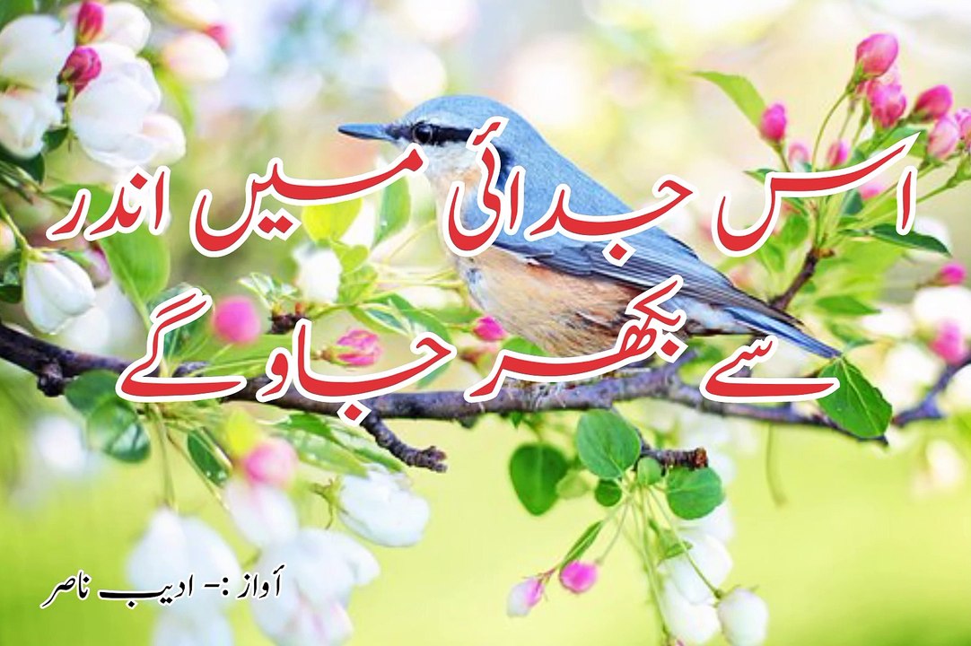 tum meri ankh k tawer na bhula pao gy