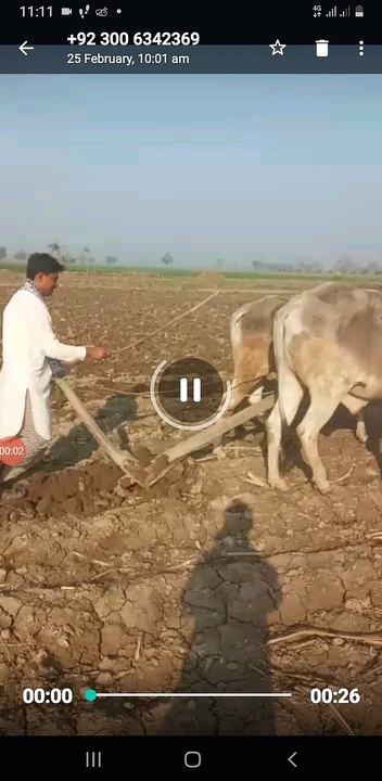 پرانے وقتوں کی یاد تازہ