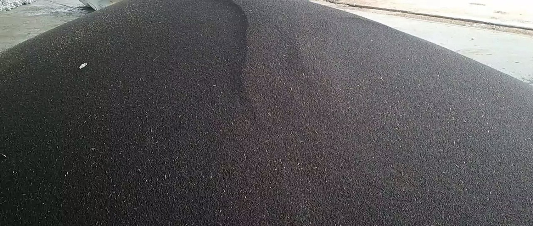 चना खरीद की लिमिट बढ़ाकर 40 क्विंटल की, सरसों क...
