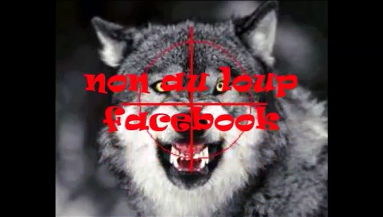 3.Depuis quand le loup est-il de retour en France