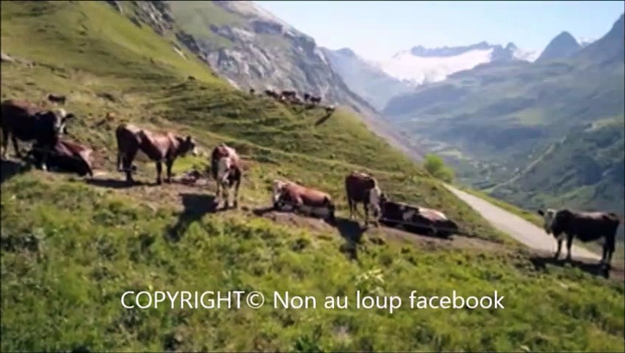 5.Quel role les agriculteurs jouent ils dans la montagne