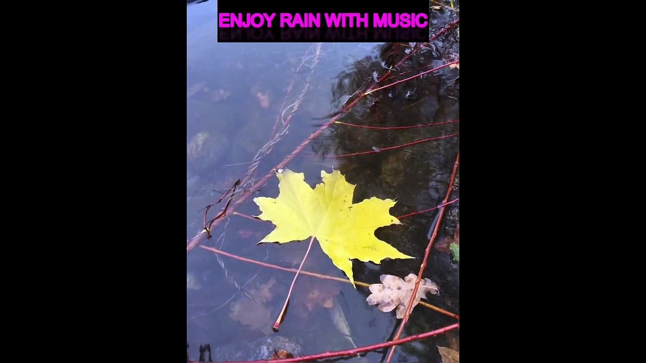 enjoy rain