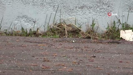 4 Mayıs'a karla uyandılar